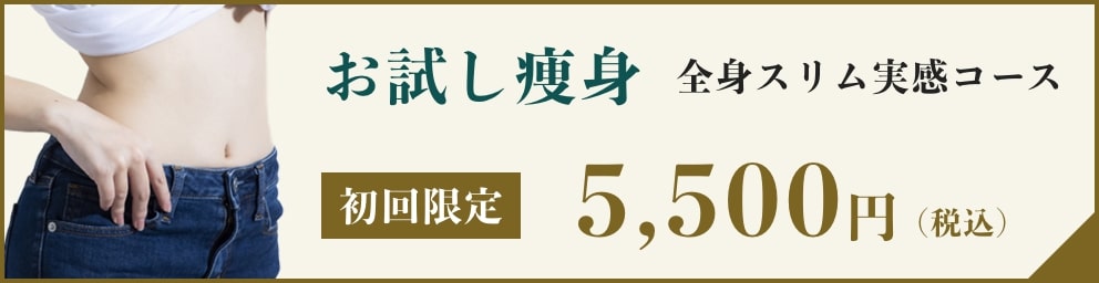 お試し痩身 全身スリム実感コース 初回限定90分 5,500円