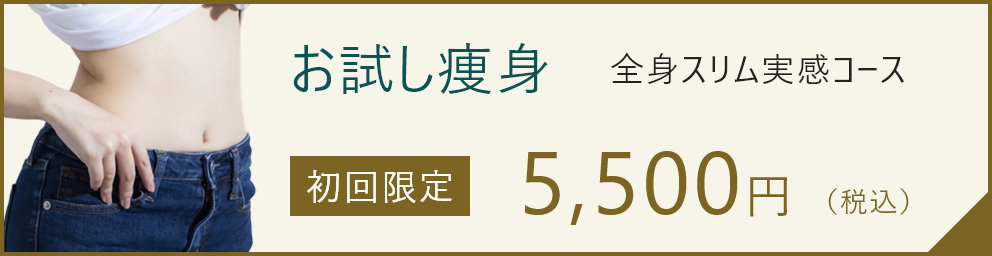 お試し痩身 全身スリム実感コース 初回限定90分 5,500円